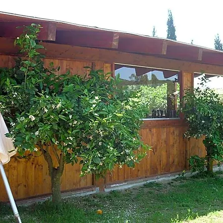 Il Frutteto Bed & Breakfast Sant Isidoro (Sardinia)